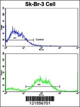 PTAR1 Antibody