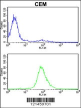 MPZ Antibody