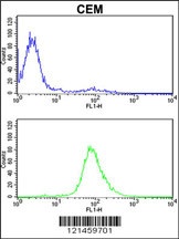 MPZ Antibody