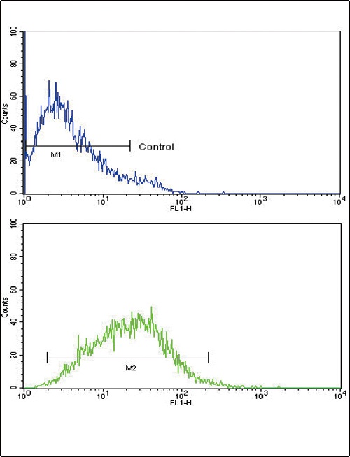 CXCL8 Antibody