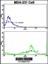 C5 Antibody