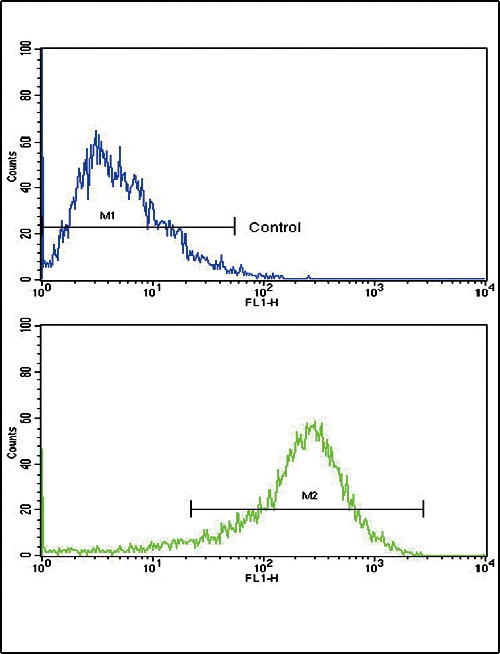 PIGR Antibody