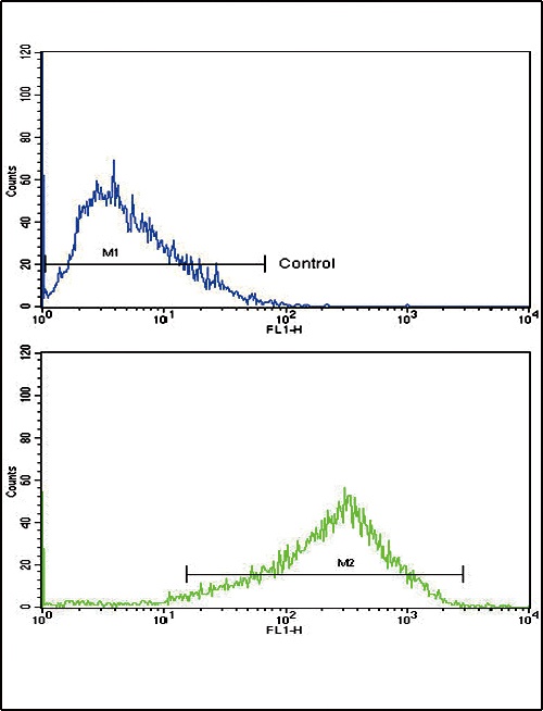 AP2A2 Antibody