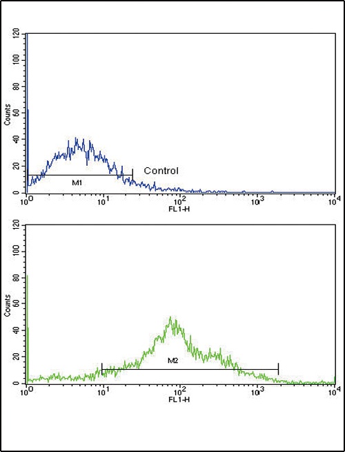 PLA2G4A Antibody