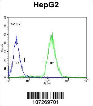 CDC14A Antibody