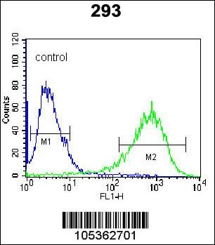 ITPKB Antibody