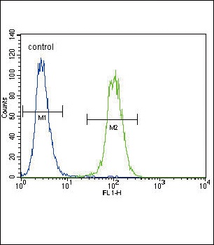 Urokinase Antibody
