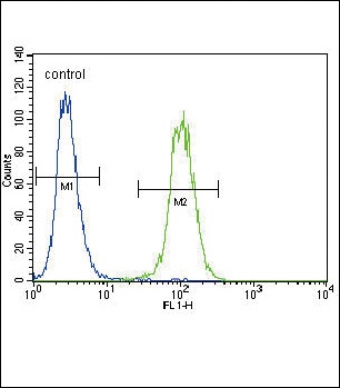 PLAU Antibody