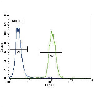 Urokinase Antibody