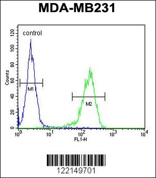 YWHAZ Antibody