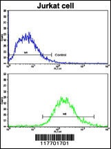 MERTK Antibody