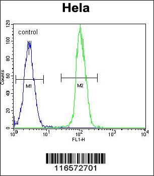 TrkA-pY791 Antibody