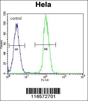 NTRK1 Antibody