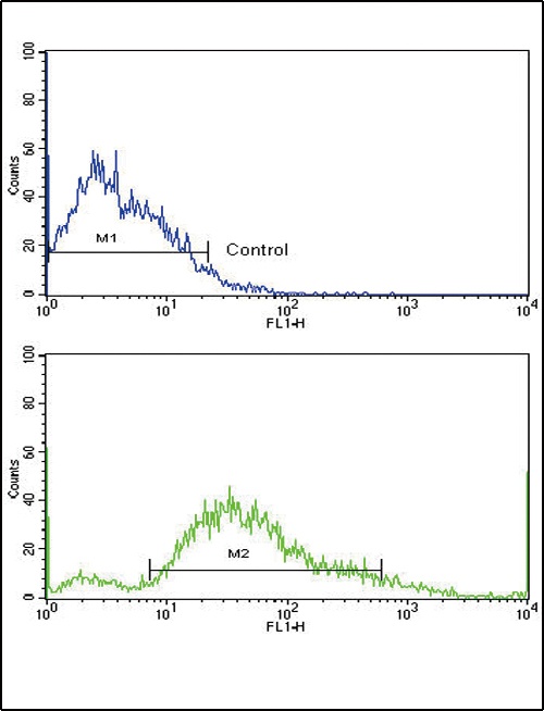 PDGFRB Antibody