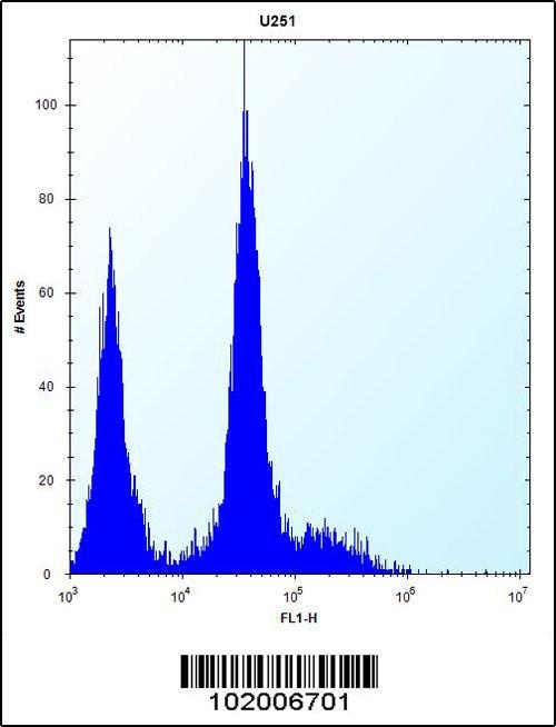 PDGFRA Antibody