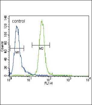 MUSK Antibody