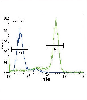 MPST Antibody