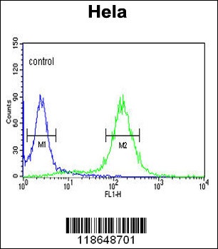 MPST Antibody