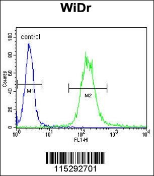 IGF1R Antibody