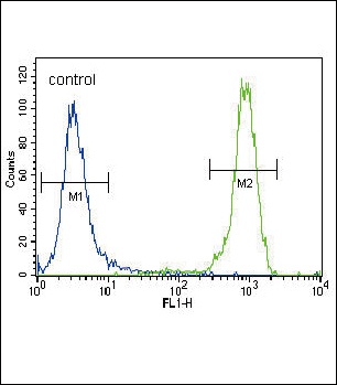 FGFR2 Antibody