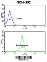 XPOT Antibody