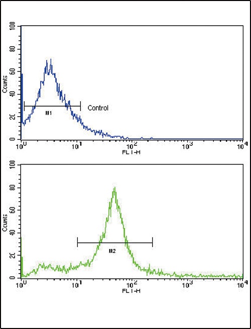 ERBB3 Antibody