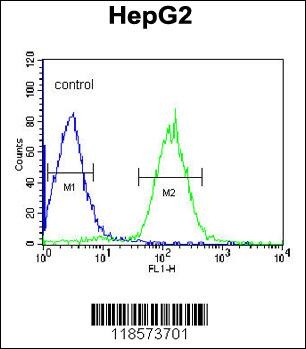 PLTP Antibody