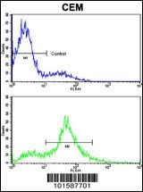 EPHA4 Antibody