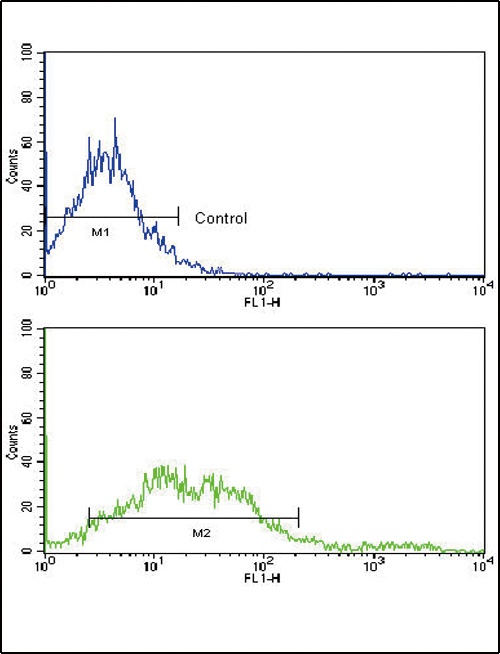 EPHA2 Antibody