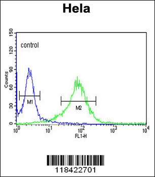 LUM Antibody