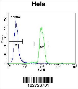 MAPK14 Antibody