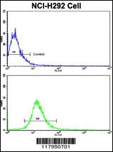 DPT Antibody