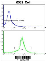 PCM-1 Antibody