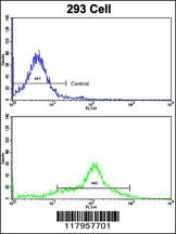 EHD3 Antibody