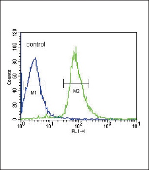 EHD3 Antibody