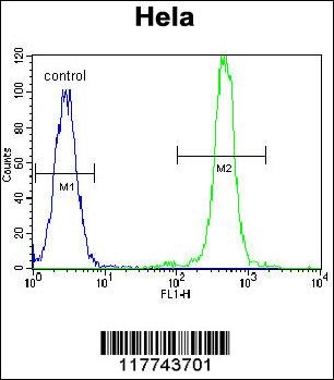 FASN Antibody