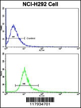 DCXR Antibody