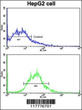 ADAM9 Antibody