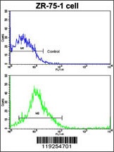 CTSK Antibody