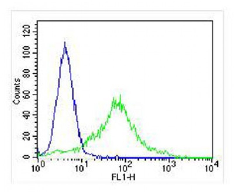 KRT18 Antibody