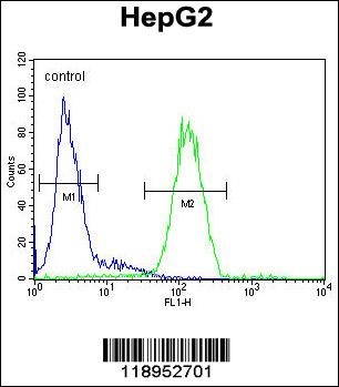 SERPINH1 Antibody