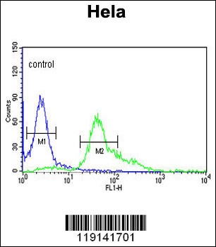 S100A6 Antibody