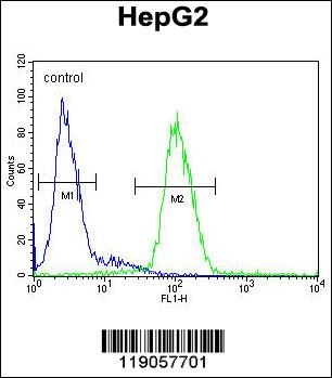 CP Antibody