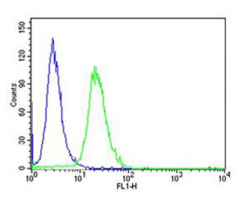 PCSK9 Antibody