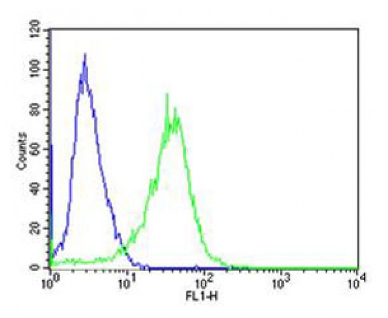 PCSK9 Antibody