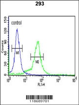 BTBD1 Antibody