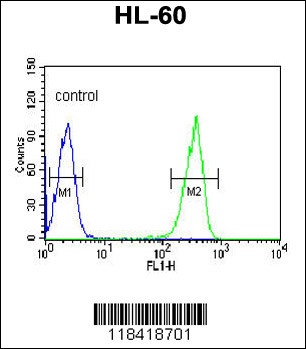 KRT9 Antibody