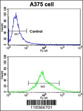 CA14 Antibody