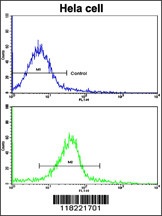 GLRX2 Antibody