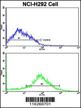 ADRB2 Antibody